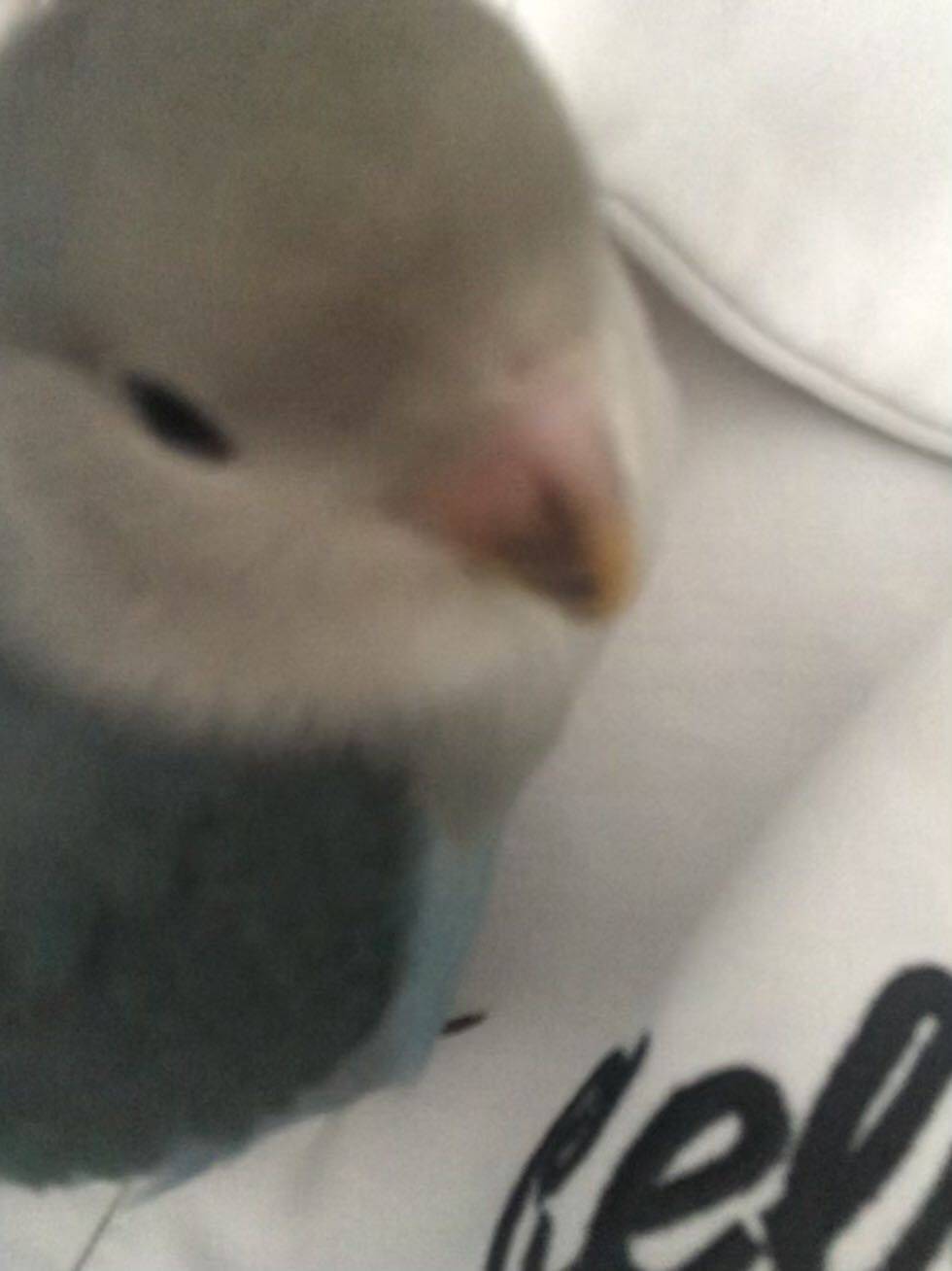 Ht