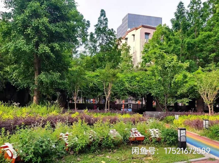 都市背包客