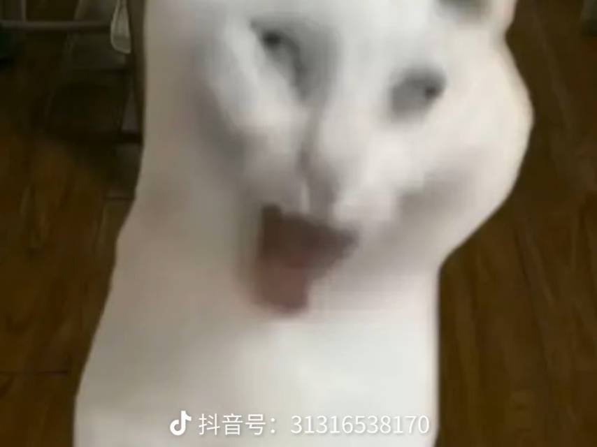 光头强