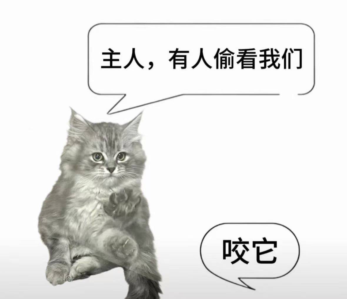 生若时光