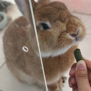 O_o