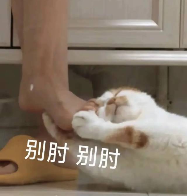 梦里啥都有🥳