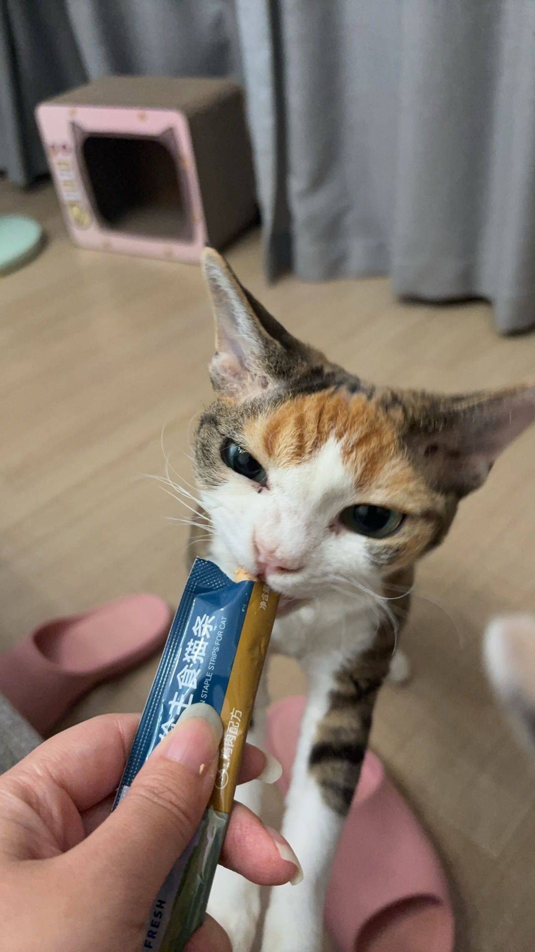 花鱼卷