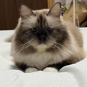就一口