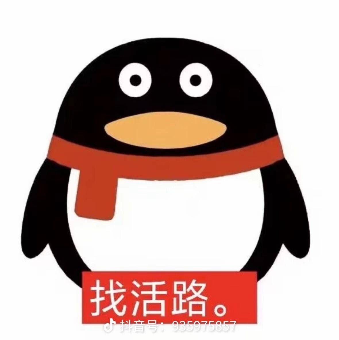 泡泡