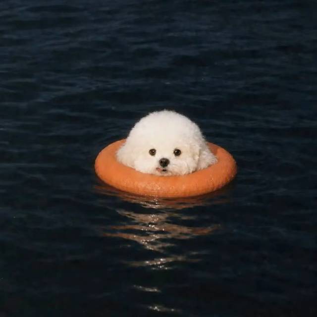 Ⱄⱄᐝ