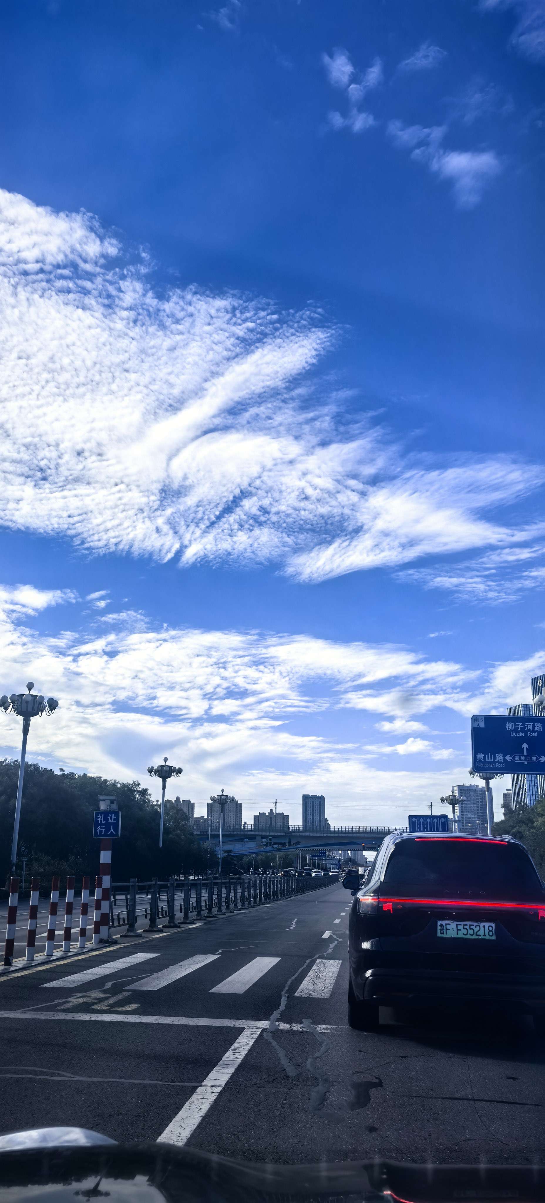 鲸鱼