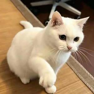 又怎样