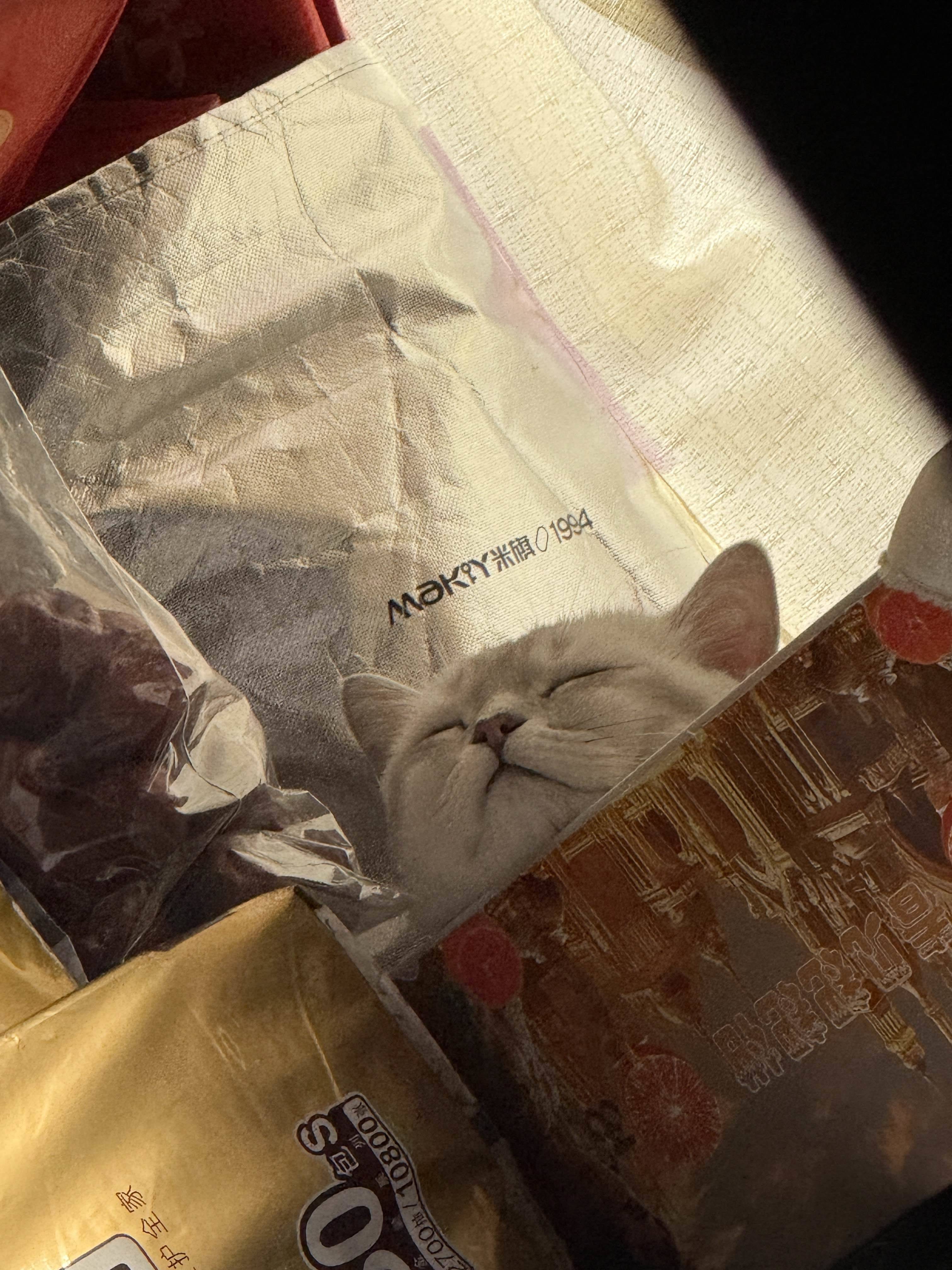 羲泽