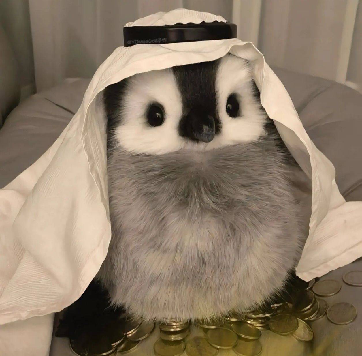 远大前程