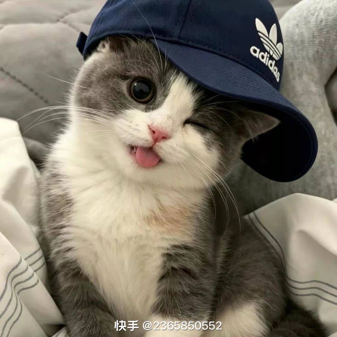 wen.