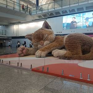 阮老师