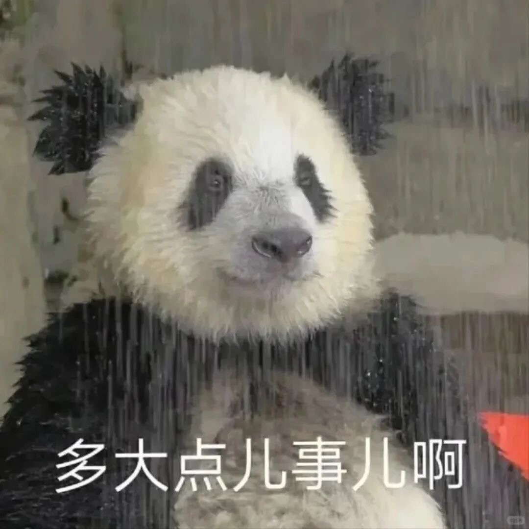 多大点事儿