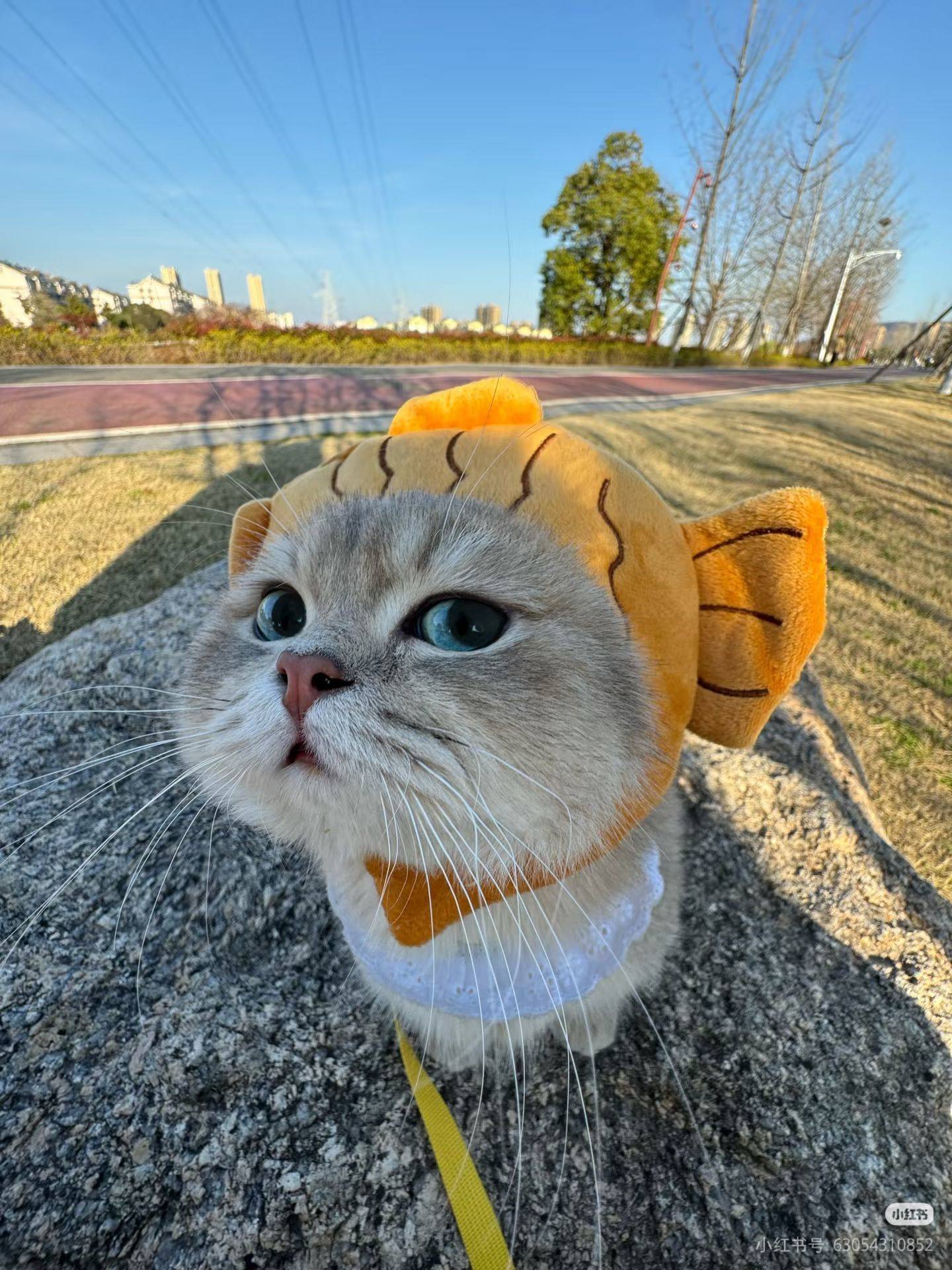 个人出租