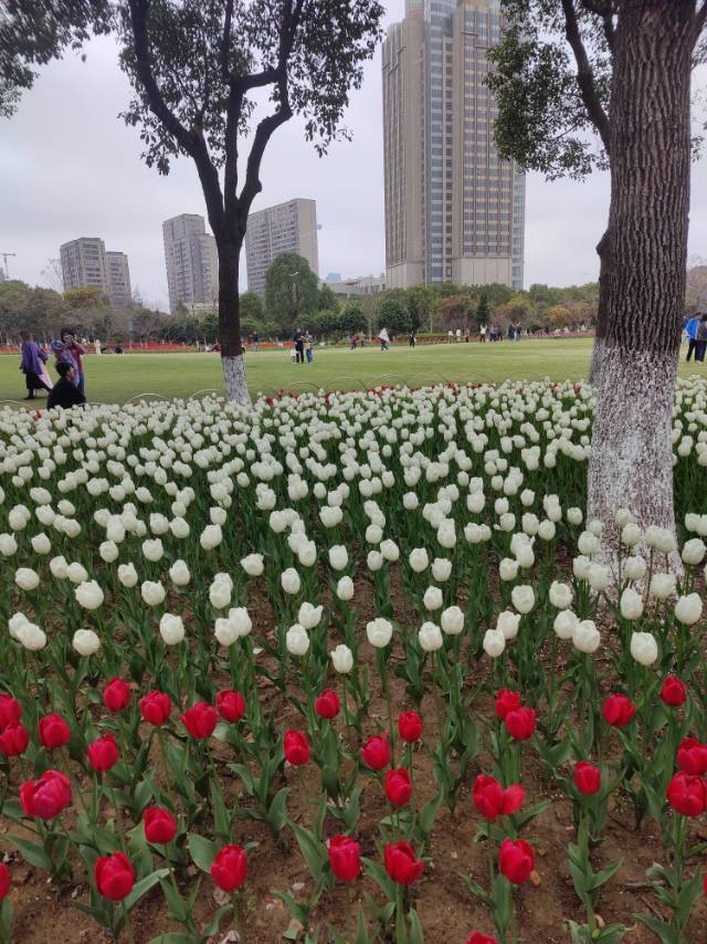 风平浪静