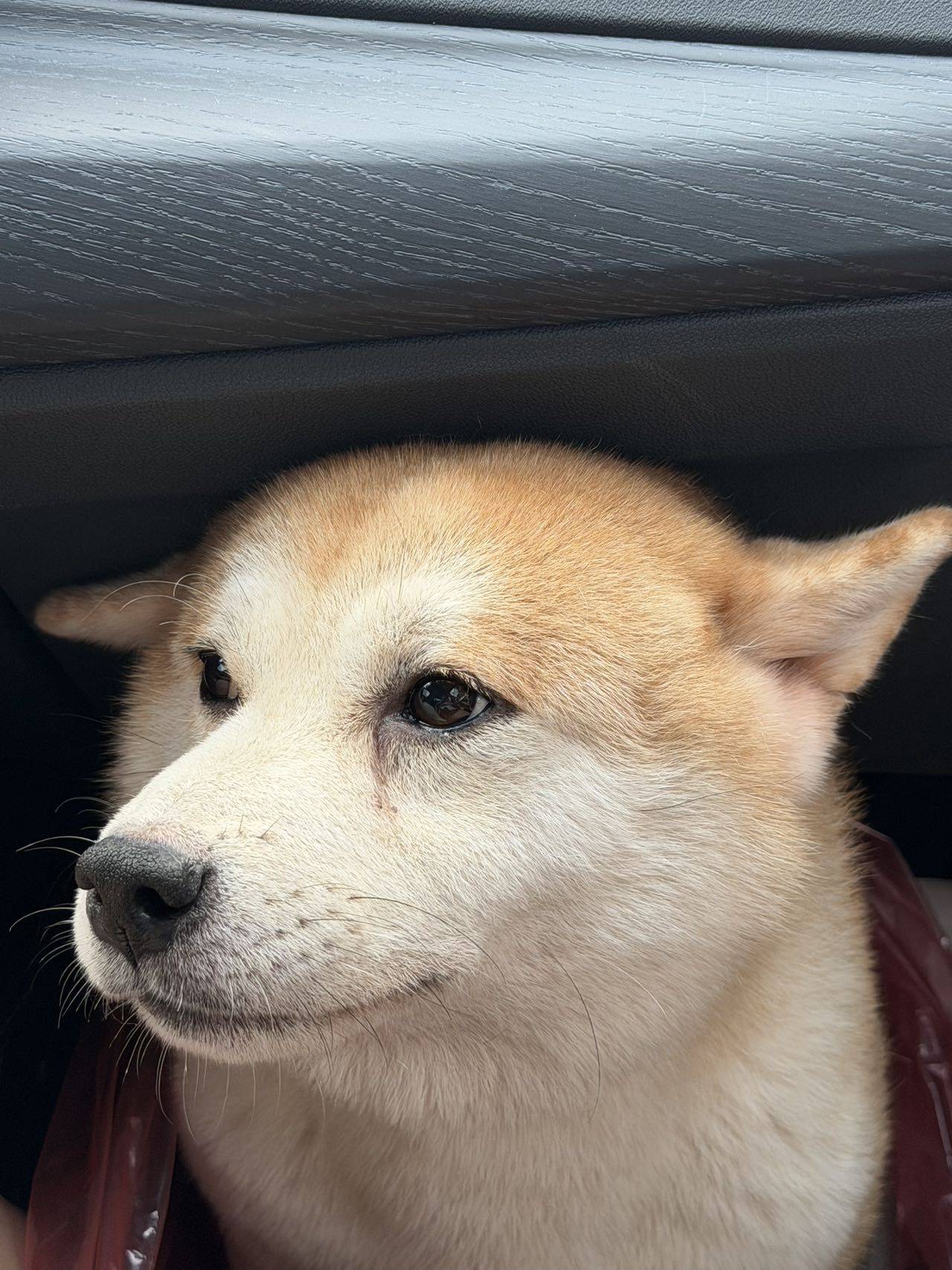 京一