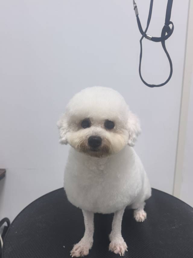 清眠雾