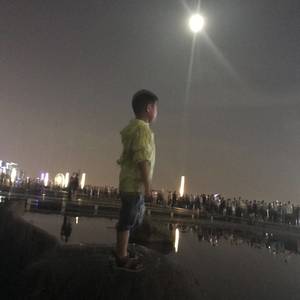 鱼儿游