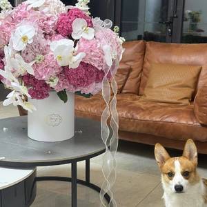 芊芊