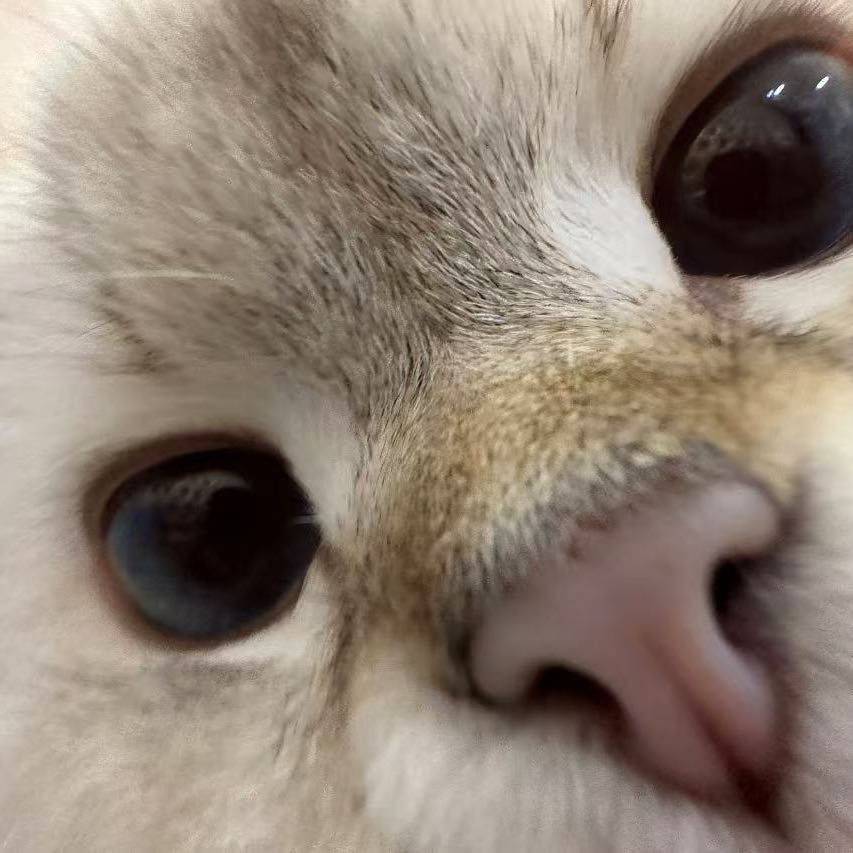 shyiii
