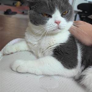 周先生