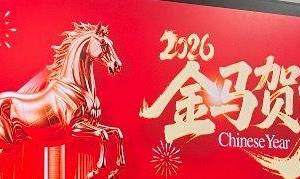 小马奔腾