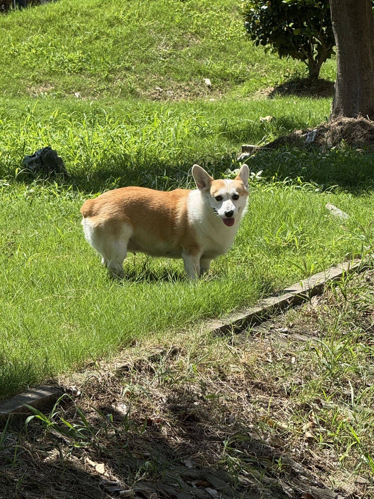 Destiny.