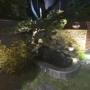 小张张