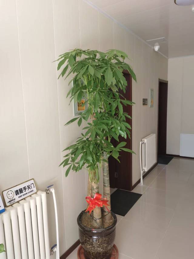 房东