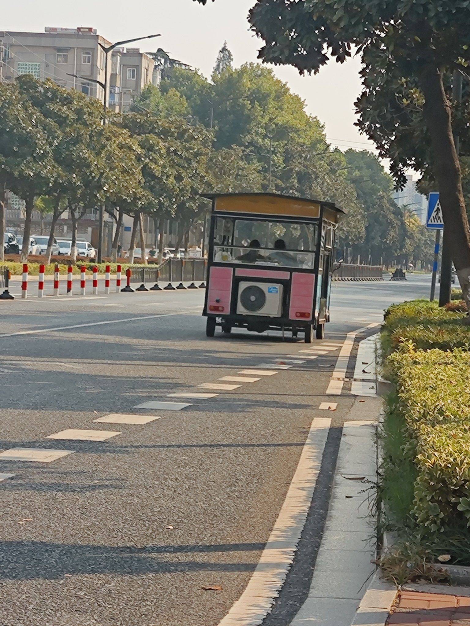 活泼小黄
