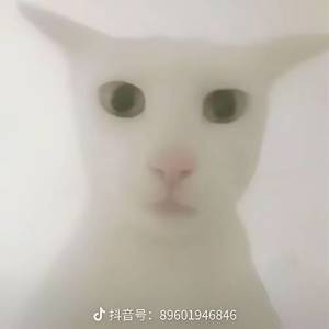 3596