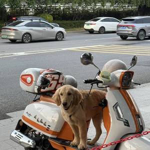 郭源潮