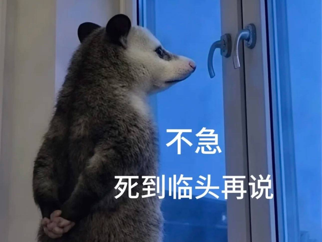 出租大复式