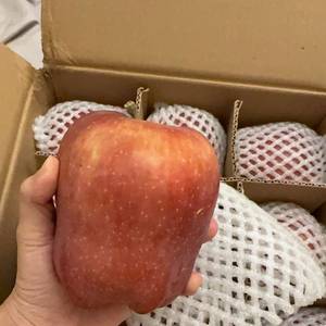 等有缘人
