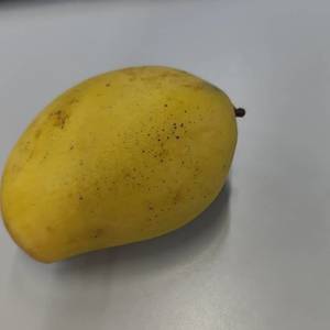 热爱可抵岁月漫长