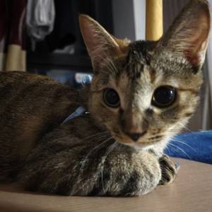 小煜