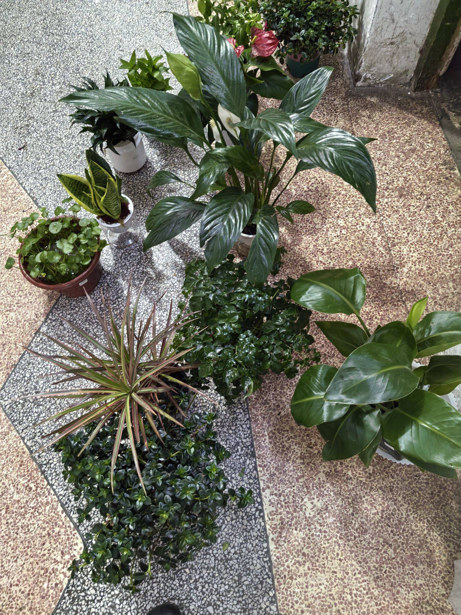 向
