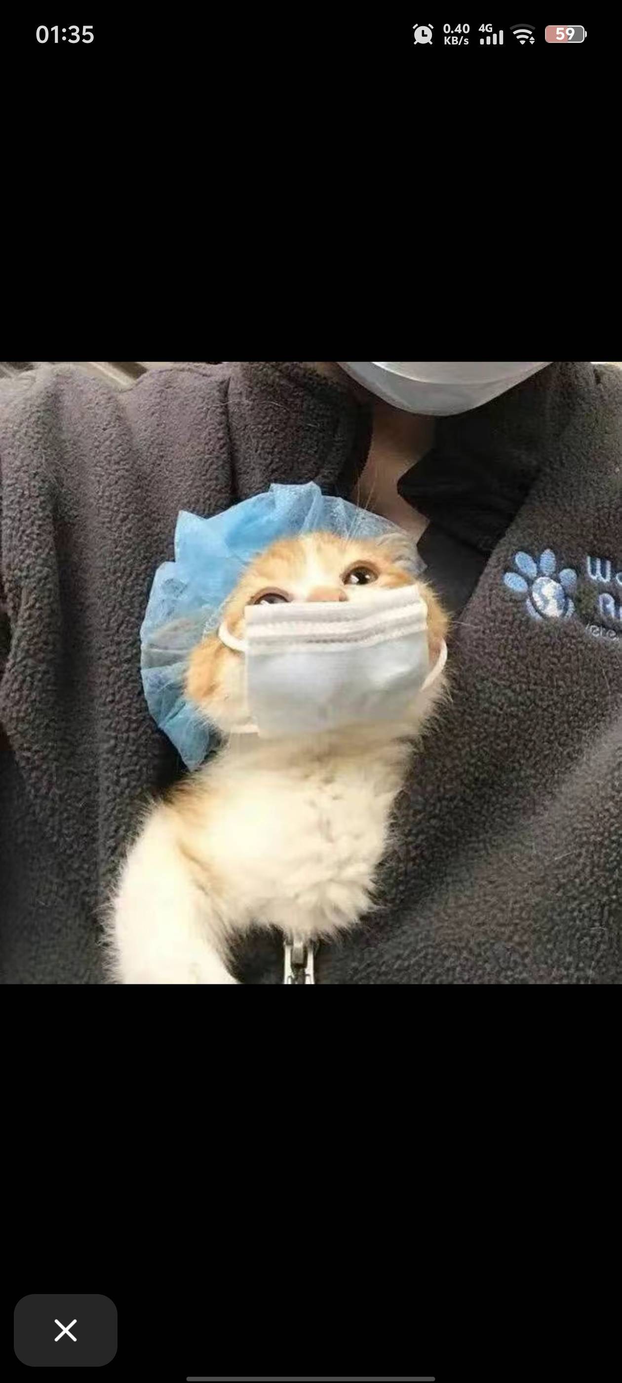 洛