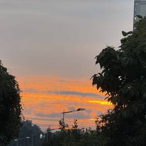 土豆土豆