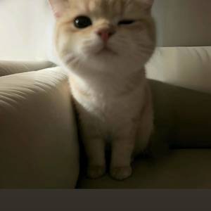 李李李