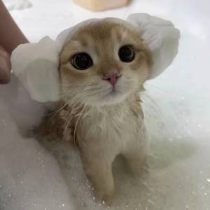 早上好