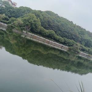 房东汤