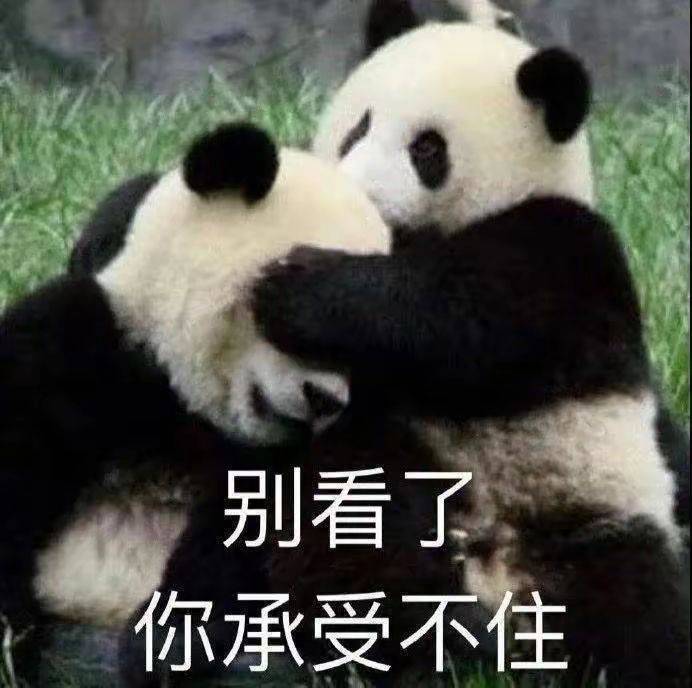 浅忆