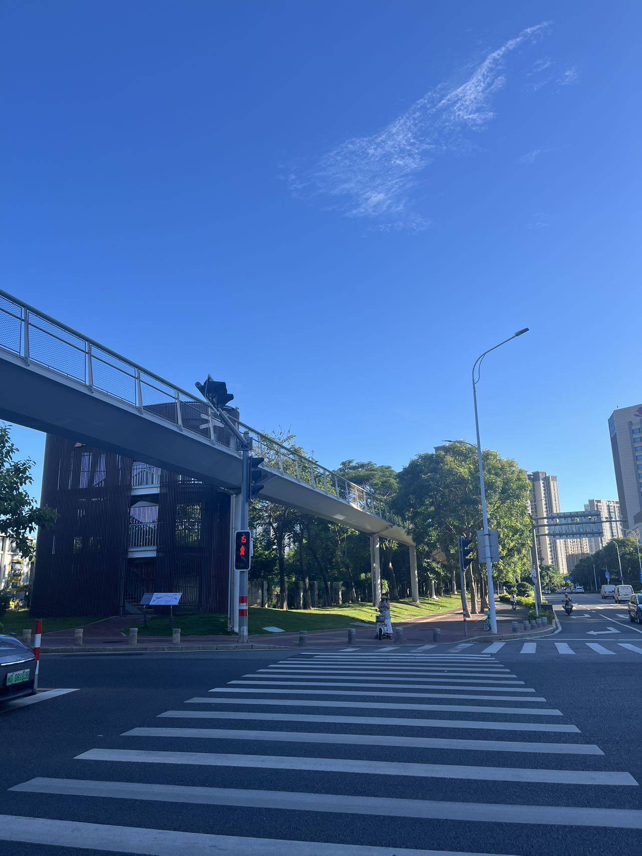 大菲