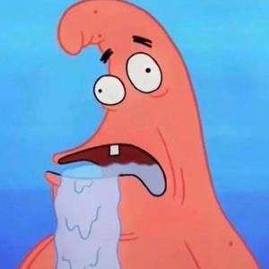 一只马喽
