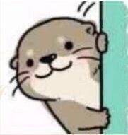 白雀