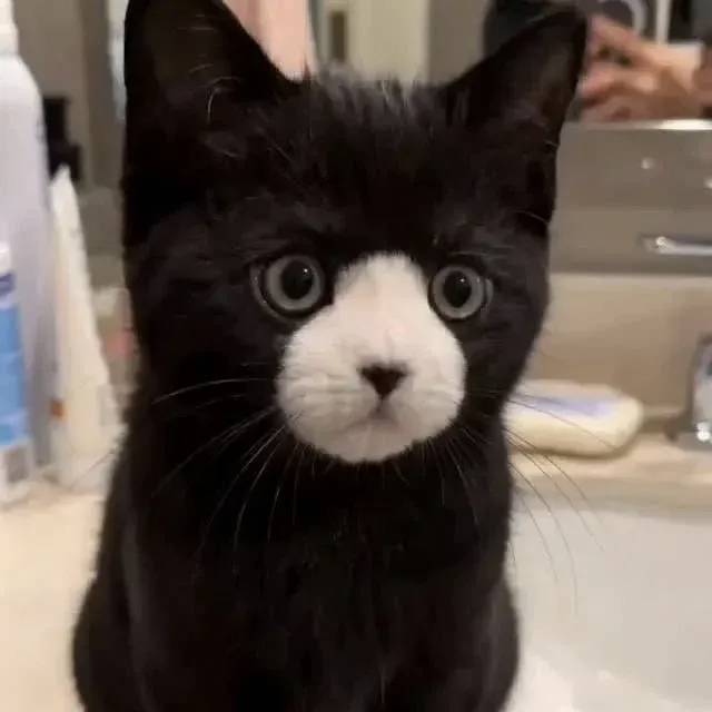 hello