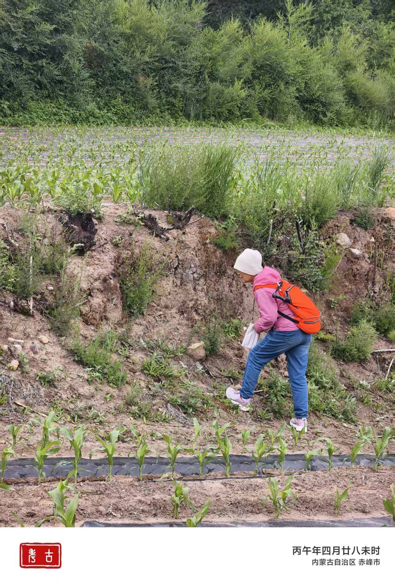 健行