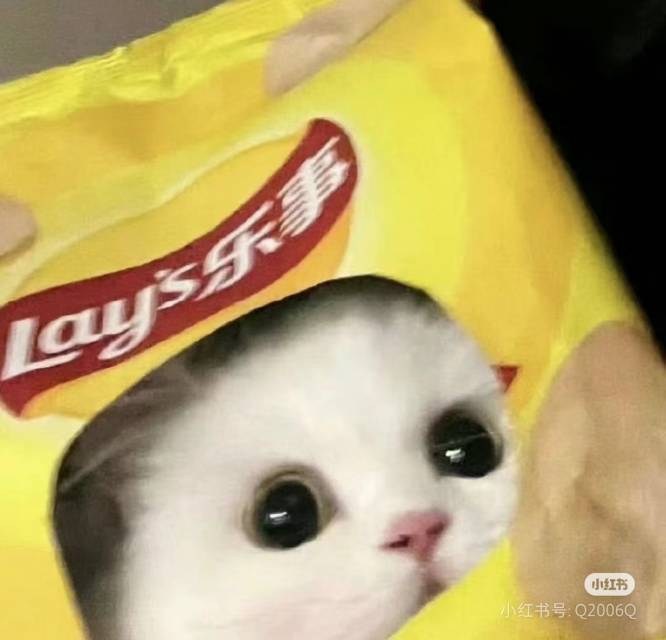 乐