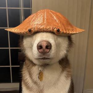 Tiou